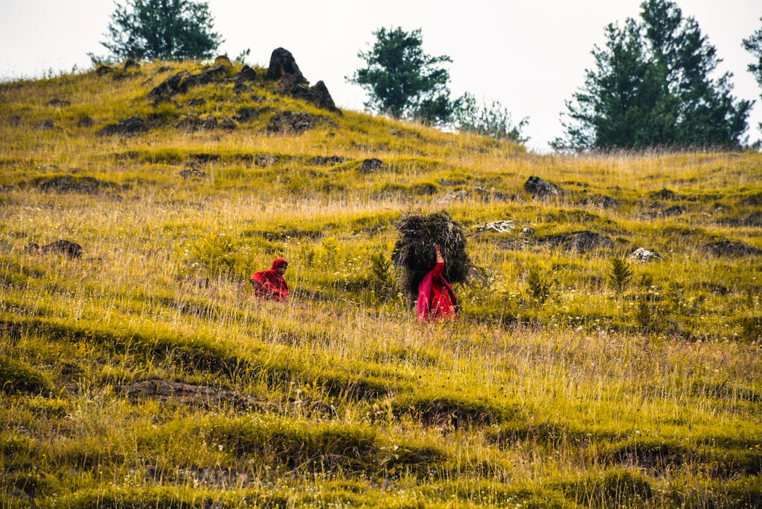 découvrez le tourisme rural : une expérience authentique au cœur de la nature, qui vous plonge dans les traditions locales, les paysages pittoresques et la gastronomie régionale. évadez-vous du quotidien et reconnectez-vous avec l'environnement dans des destinations paisibles et accueillantes.