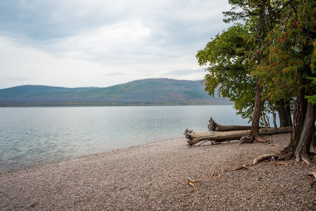 découvrez la beauté spectaculaire des parcs nationaux, où la nature sauvage rencontre la préservation. explorez des paysages diversifiés, des randonnées pittoresques et une faune exceptionnelle. partez à l'aventure dans ces sanctuaires naturels, parfaits pour les amoureux de la nature et les aventuriers en quête d'évasion.