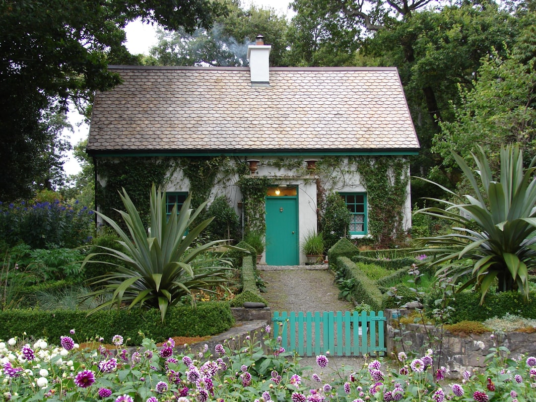 découvrez notre charmant cottage, un refuge paisible au cœur de la nature. profitez du confort moderne tout en vous immergeant dans un environnement pittoresque, idéal pour des vacances relaxantes en famille ou entre amis.