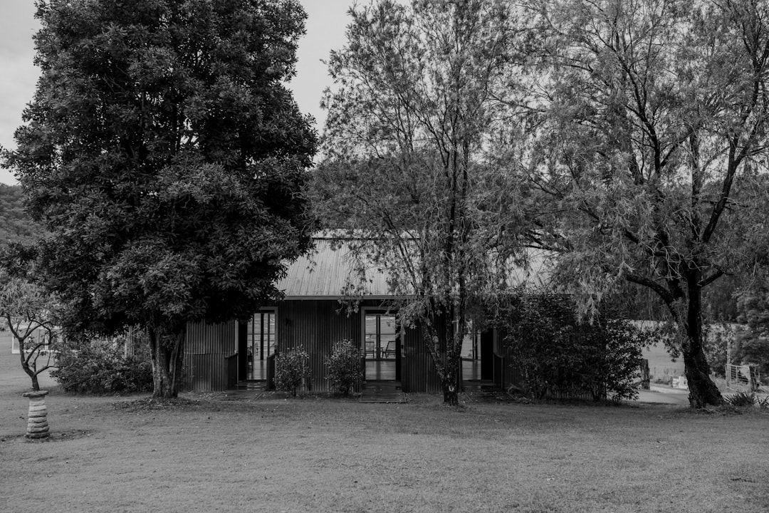 découvrez l'authenticité d'un séjour à la ferme, où vous pourrez vous immerger dans la vie rurale, profiter de paysages apaisants et déguster des produits frais directement de la ferme. une expérience unique pour toute la famille !